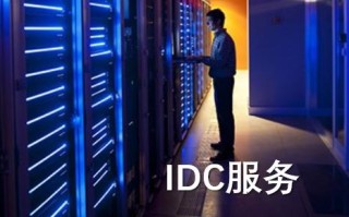idc主机销售系统源码（idc虚拟主机销售系统源码）