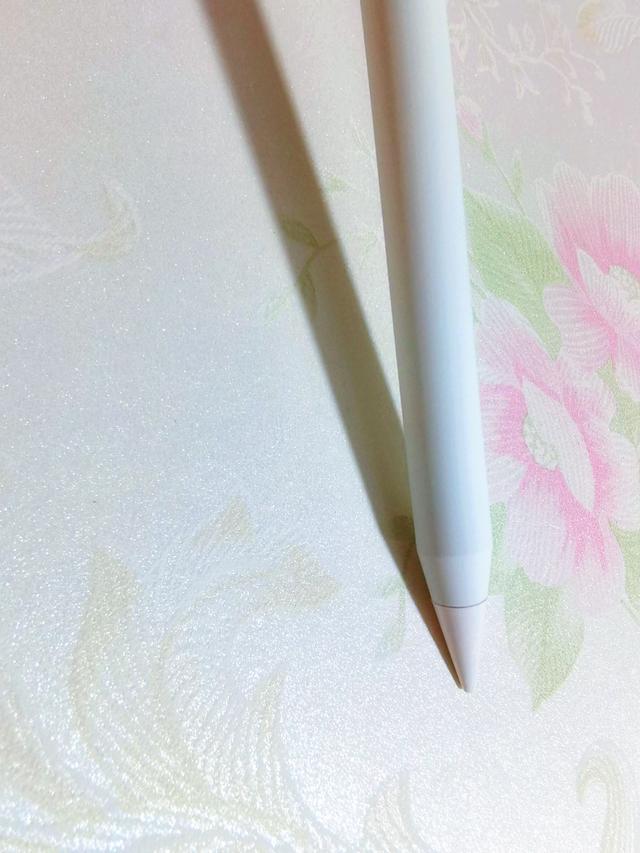 ipad电容笔和pencil有什么区别（ipad的电容笔和ipadpencil）-第5张图片