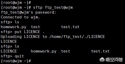 如何架设ftp服务器（如何架设FTP服务器）-第9张图片