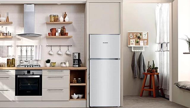 冰箱哪个品牌质量好又省电耐用（什么冰箱省电耐用又便宜）-第1张图片