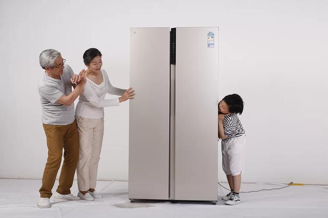 冰箱哪个品牌质量好又省电耐用（什么冰箱省电耐用又便宜）-第7张图片