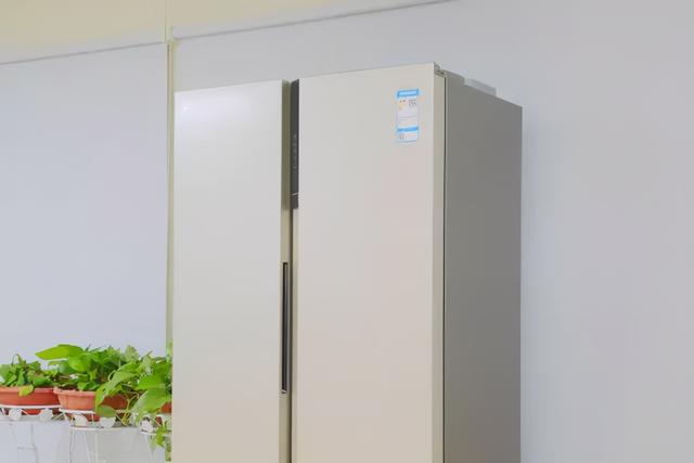 冰箱哪个品牌质量好又省电耐用（什么冰箱省电耐用又便宜）-第8张图片