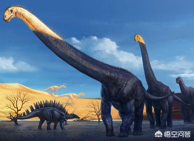 侏罗纪有哪些恐龙（白垩纪的恐龙有哪些）-第6张图片