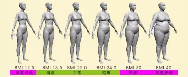女性bmi指数标准表图片（女性BMI指数标准表）-第2张图片