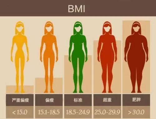 女性bmi指数标准表图片（女性BMI指数标准表）-第3张图片