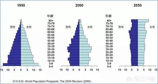 中国老年人口2022总人数口是多少（中国老年人口2022总人数口是多少文化程度如何）-第3张图片