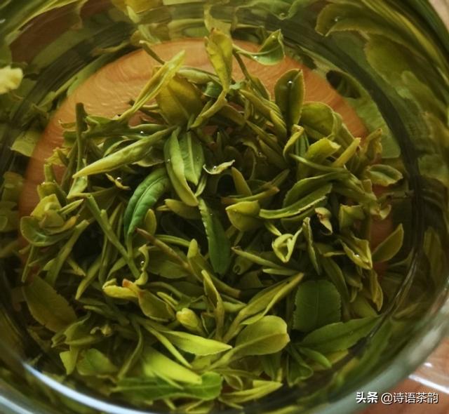 中国十大绿茶排名（中国绿茶排名前十名品牌）-第1张图片