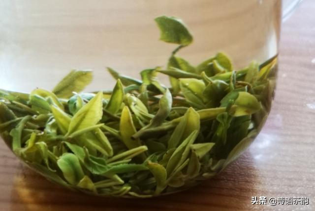 中国十大绿茶排名（中国绿茶排名前十名品牌）-第2张图片
