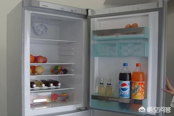 选购冰箱的10个基本常识（挑选冰箱主要看哪几方面）-第2张图片