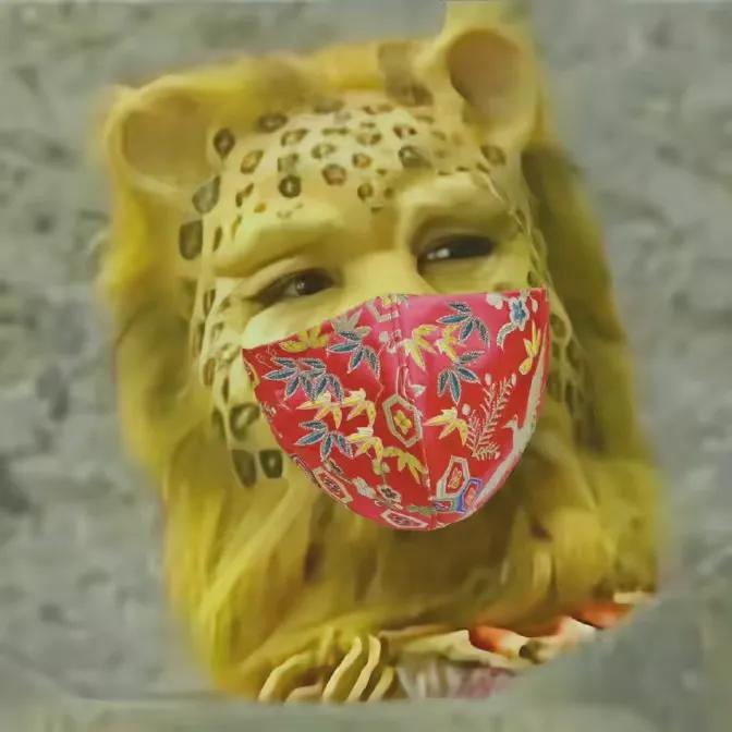 金钱豹戴口罩头像（西游记金钱豹头像图片）-第6张图片